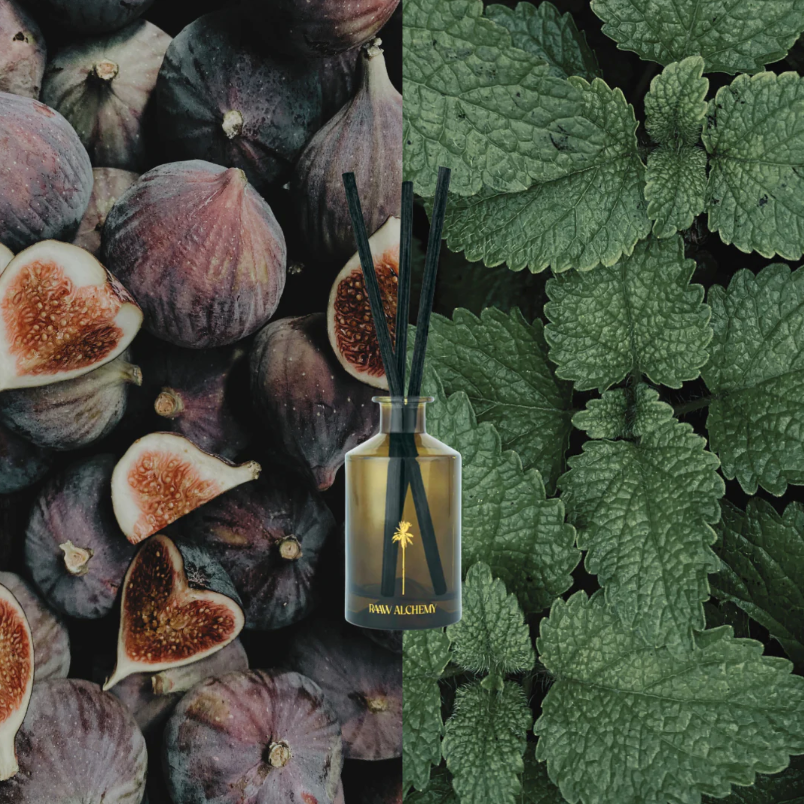 Raaw Alchemy Reed Diffuser – The Minted Fig 100 ml, frisk botanisk duft