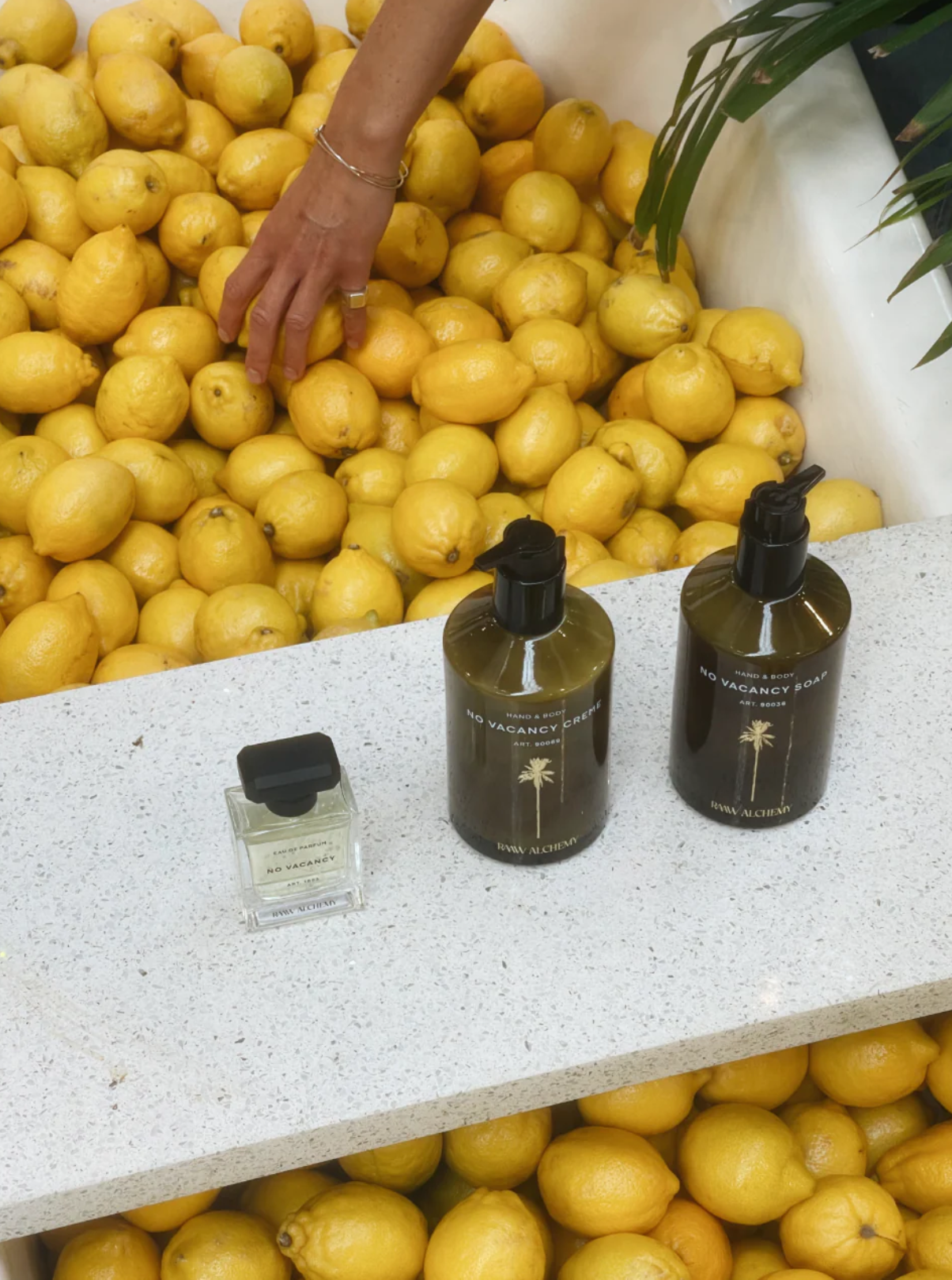 Raaw Alchemy Creme tekstur og ingredienser – botanisk skincare